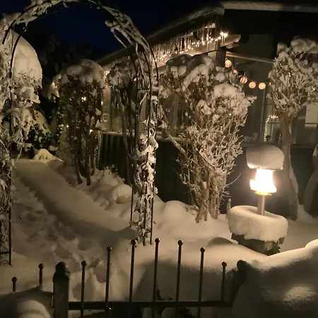 Kordes Daire Winterberg